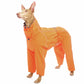 Alice & Jasper - Sofadogwear