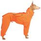 Alice & Jasper - Sofadogwear