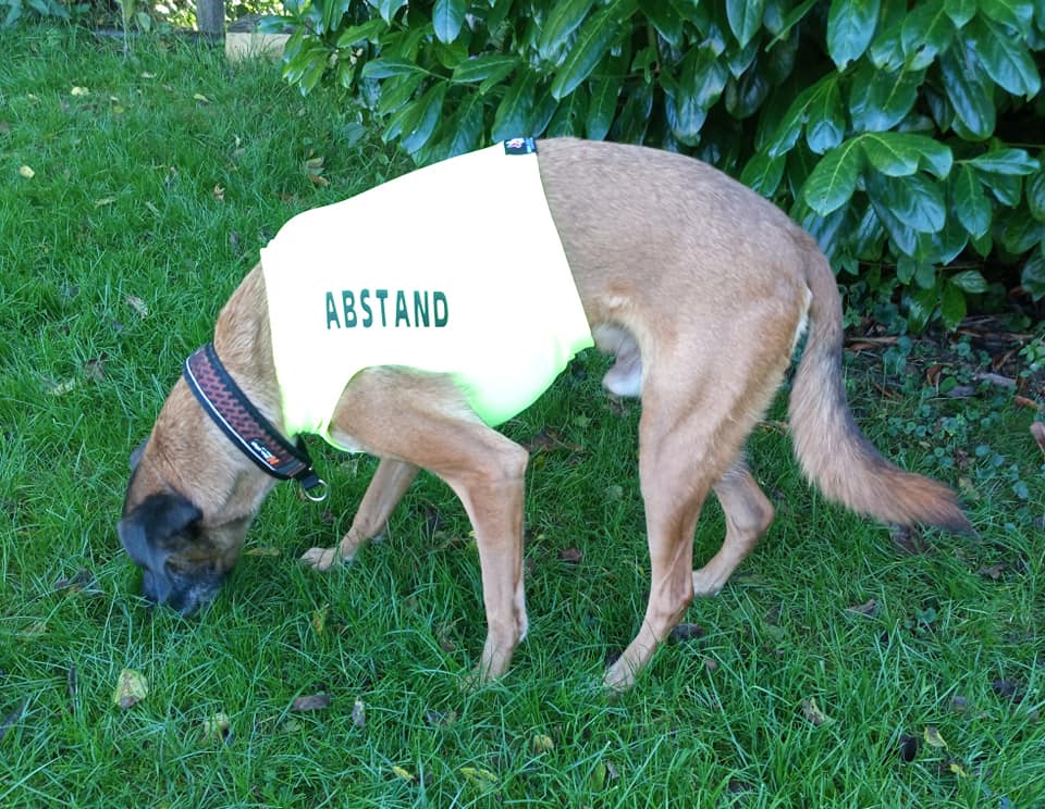 Abstand Shirt 1