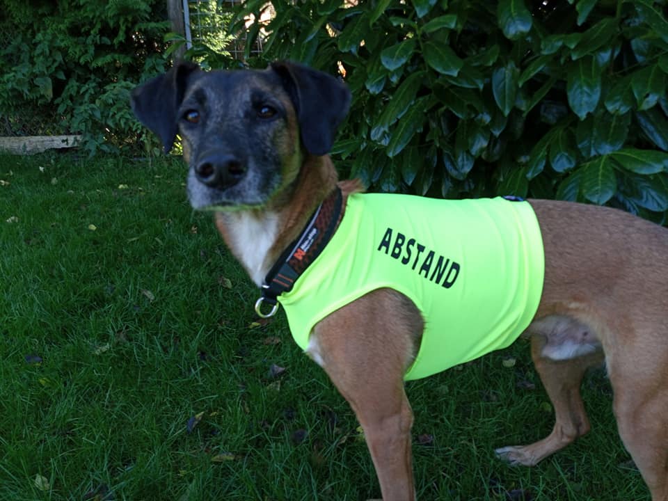 Abstand Shirt