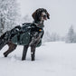 Amundsen pack 7