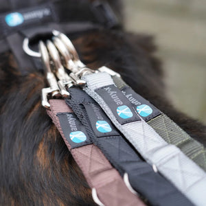 Leash Easy Fun - Annyx