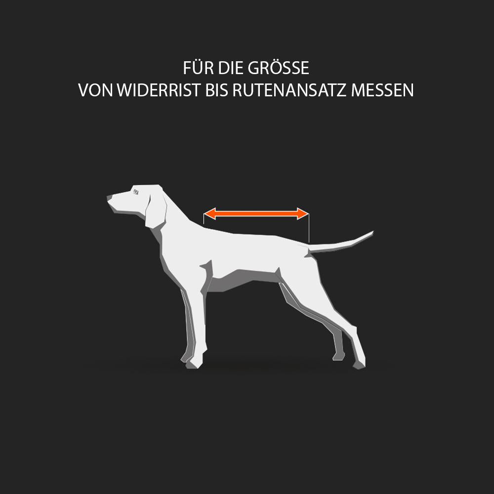 Beta Pro Ausmessen