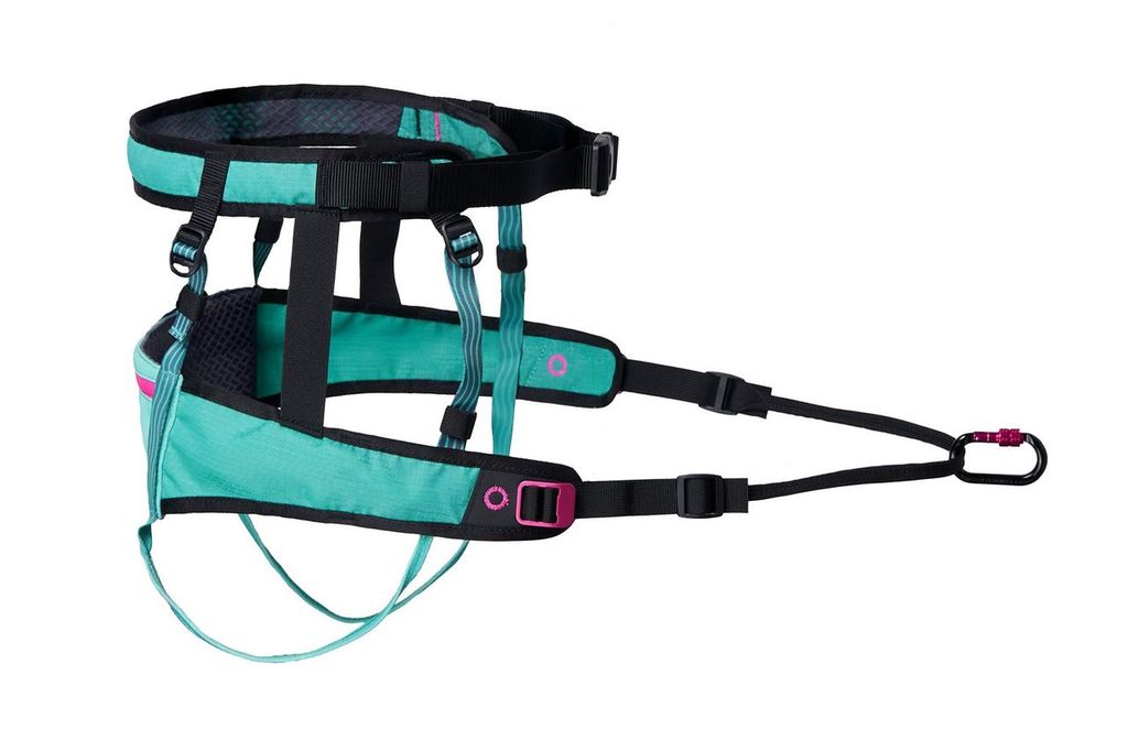 Ceinture CaniX - Vêtements pour chiens Nonstop