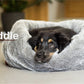 Cuddle Up