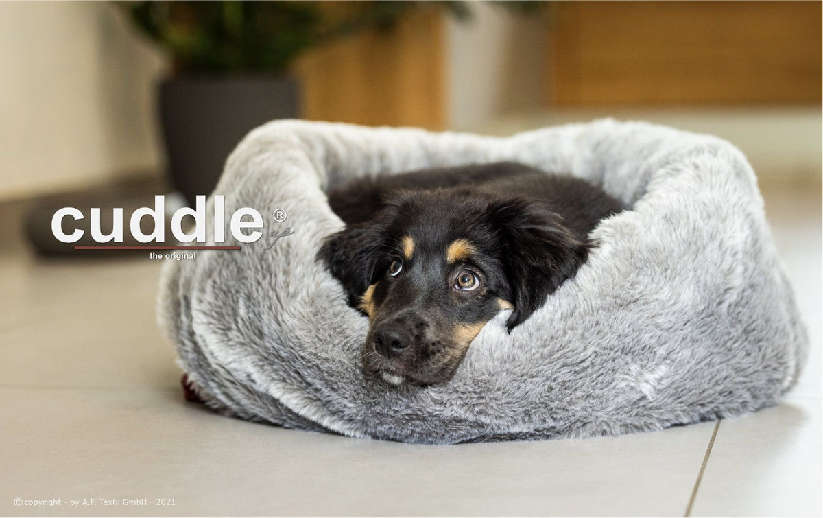 Cuddle Up