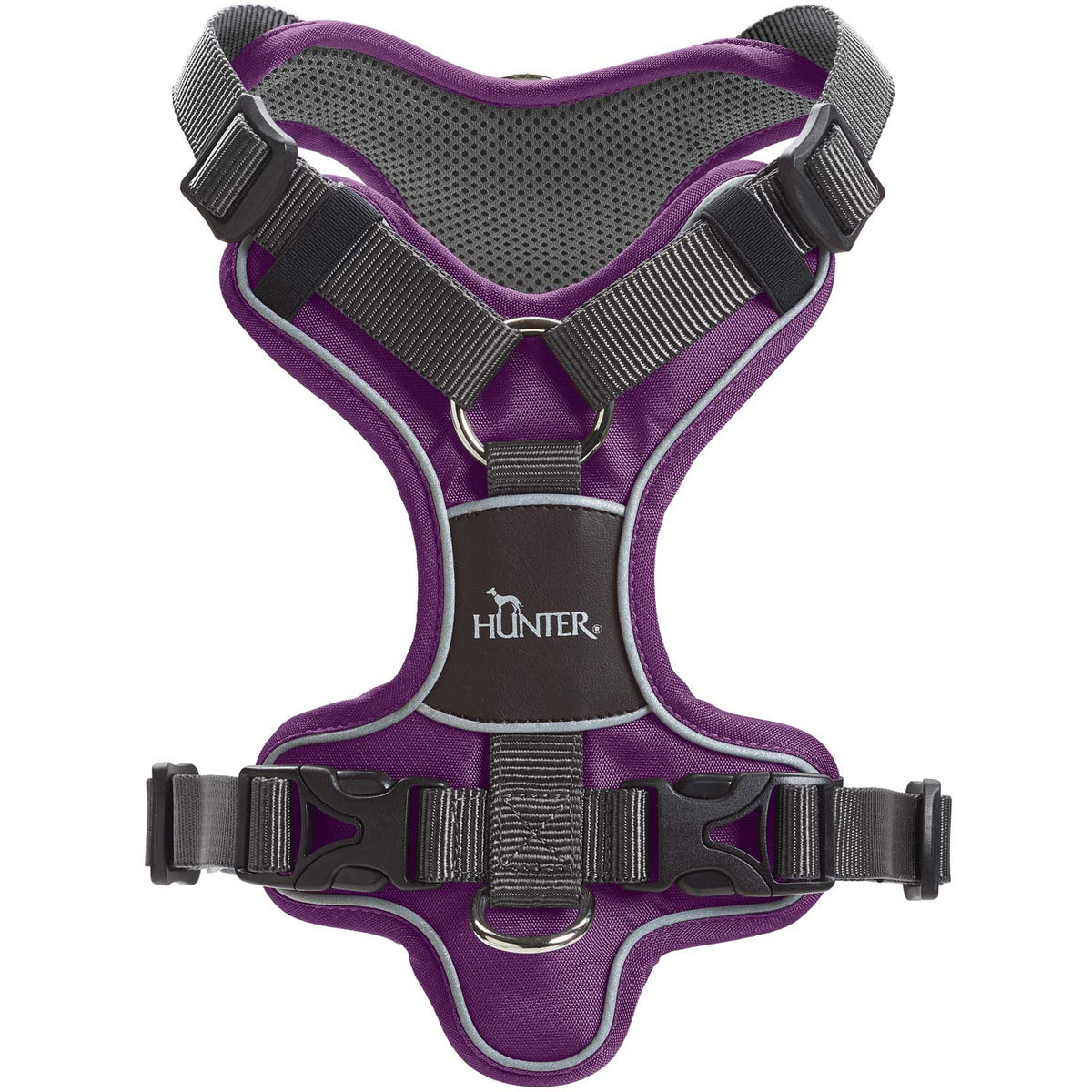 Divo 1