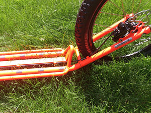 Dogscooter orange Kostka 2