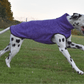 Edda Hachico Jumper 02