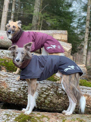 Elvis - Sofadogwear