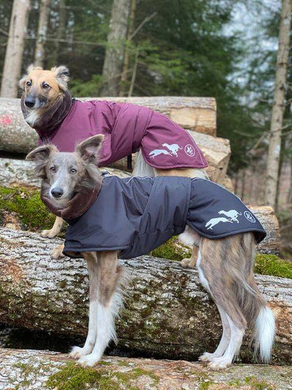 Elvis - Sofadogwear