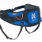 Ferd Belt 2