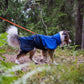 Fjord Raincoat - Nonstop Dogwear