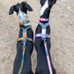 Rachel Pohl Edition Setangebote - Nonstop Dogwear
