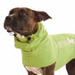 Gippy Lime