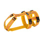 Safety harness "Safety" NORMAL sizes - Annyx