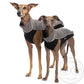 Softshell Top Jumper - DG Doggear 