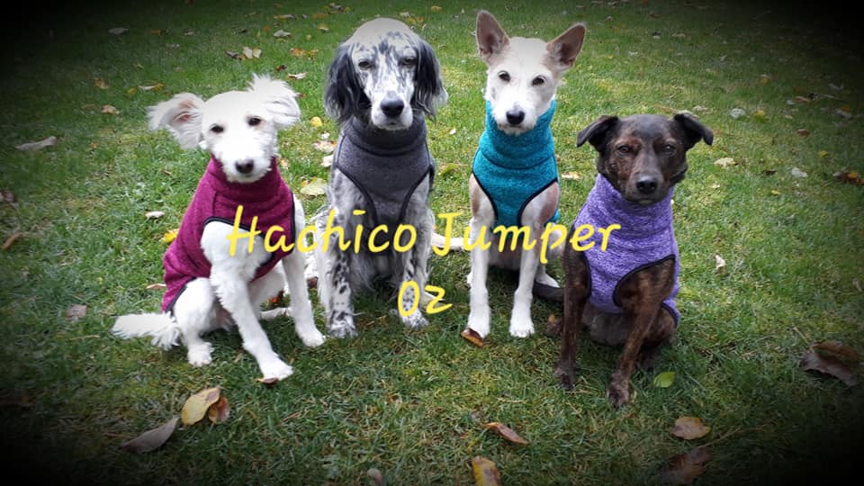 HJ foto 4