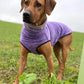 Hachico Jumper 02 - Sofadogwear | S1