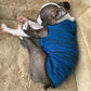 Hachico Microjumper - Sofadogwear