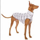Hachico Jumper 03 grey 1