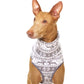 Hachico Jumper 03 grey 2