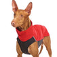 Hachico 02 (Softshell Shirt) - Sofadogwear