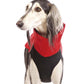 Hachico 02 (Softshell Shirt) - Sofadogwear