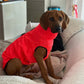 Hachico Jumper 02 - Sofadogwear | XS1