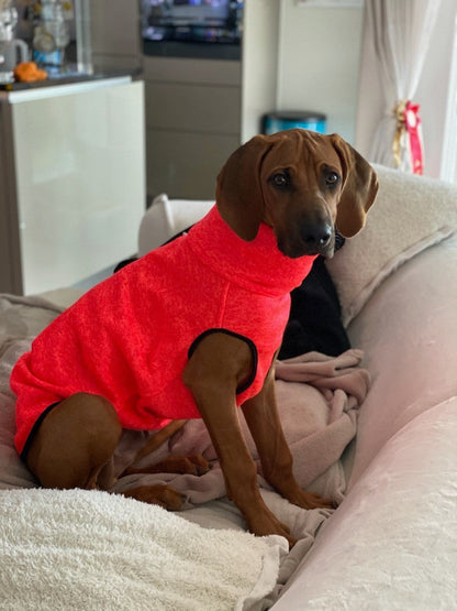 Hachico Jumper 02 - Sofadogwear | S2