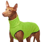 Hachico Jumper 02 - Sofadogwear | S2
