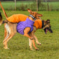 Hachico Jumper 02 - Sofadogwear | M1
