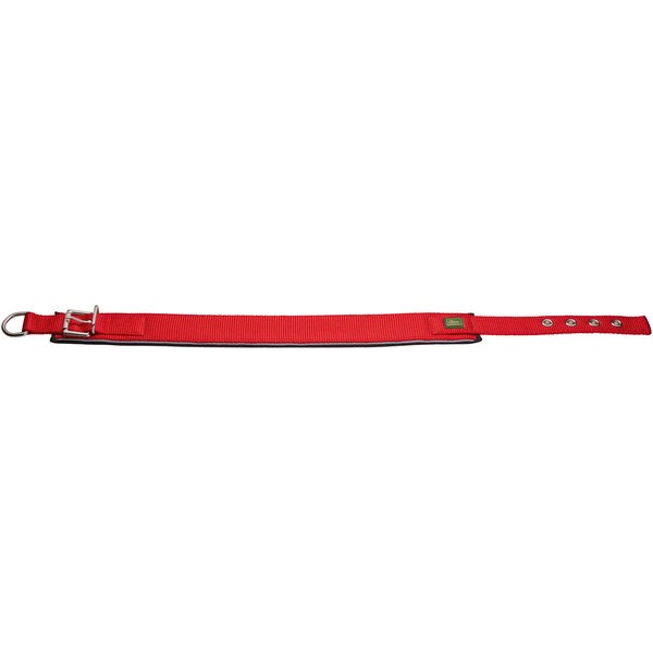 Halsband Rot schwarz
