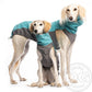 Outdoor Top Extreme (Jumper) - DG Doggear 