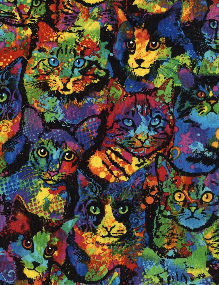 Katzen Magic