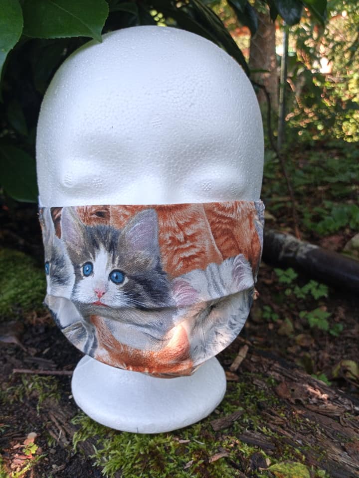 Katzen