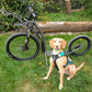 Kostka-Mushing-Pro-Dogscooter
