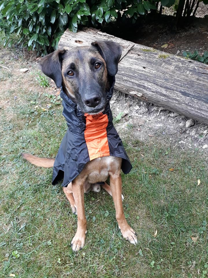 Manuel Rain orange 3