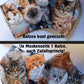 Masken Katzen