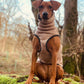 Mocca Hachico Jumper 02