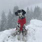 Movito Schneefoto