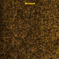 Mustard Neue Farbe