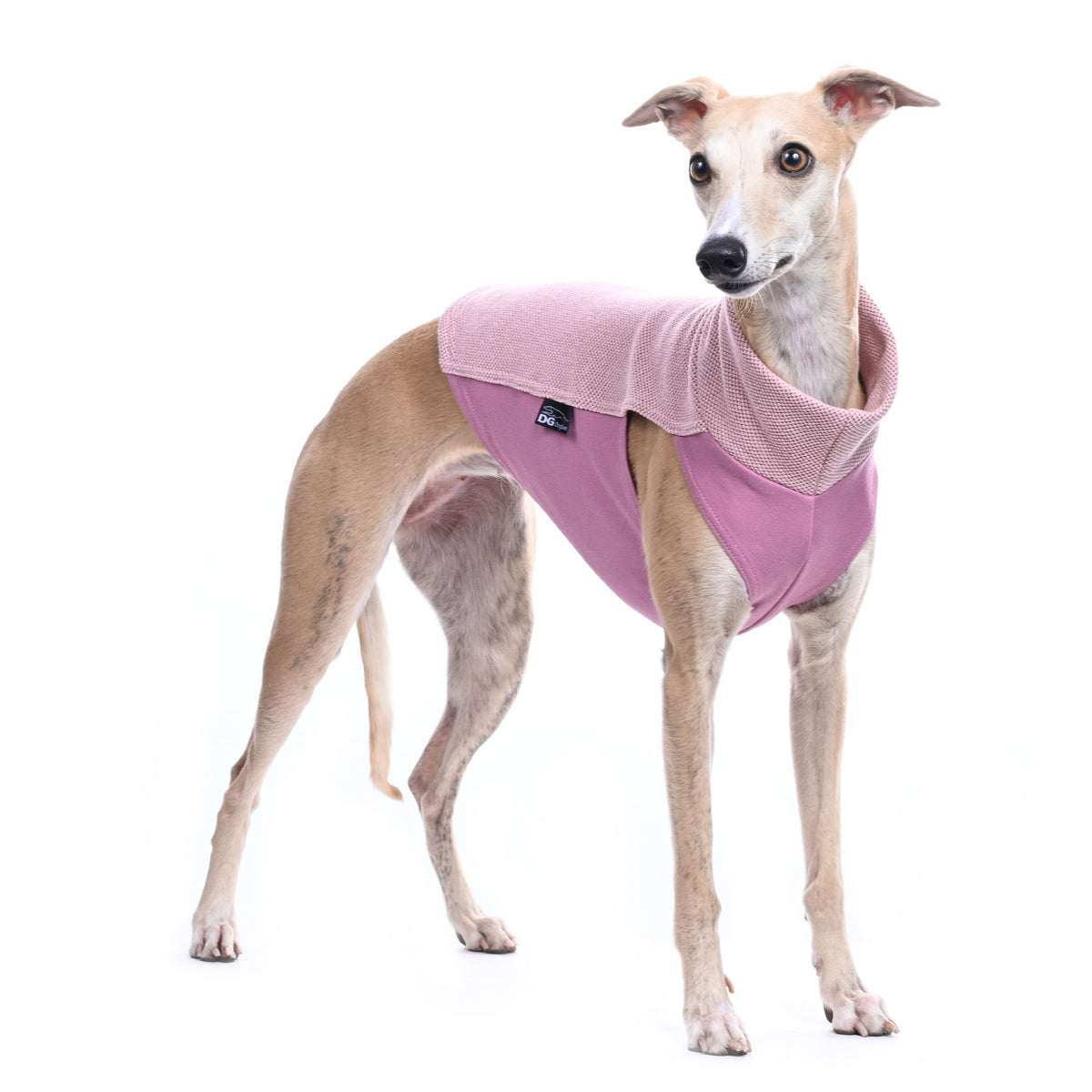 Chemise / Haut en coton piqué - DG Doggear