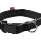 Polar Coller Foto 3