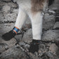 Protector Bootie 8