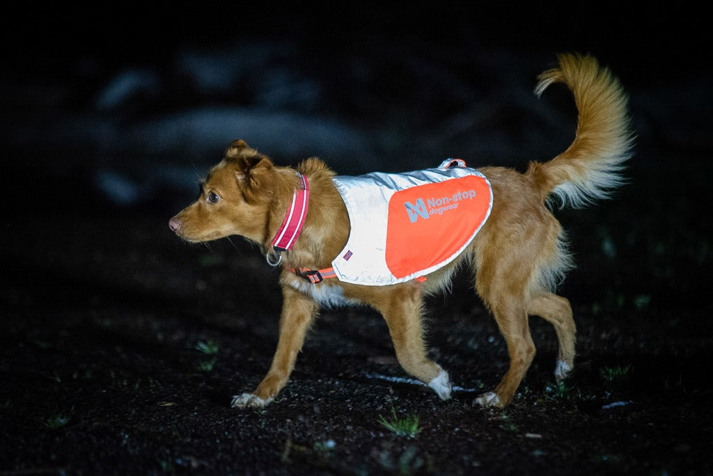 Reflective Vest 8