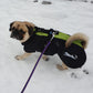 Retromops (2)