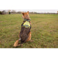 Suchhund gelb