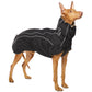 Zoran Sport - Sofadogwear