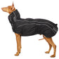 Zoran Sport - Sofadogwear